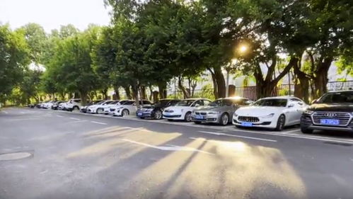 深圳开启“柜台办”便捷服务新时代